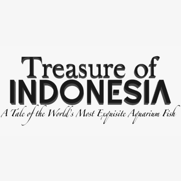 Treasure of Indonesia