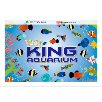 King Aquarium