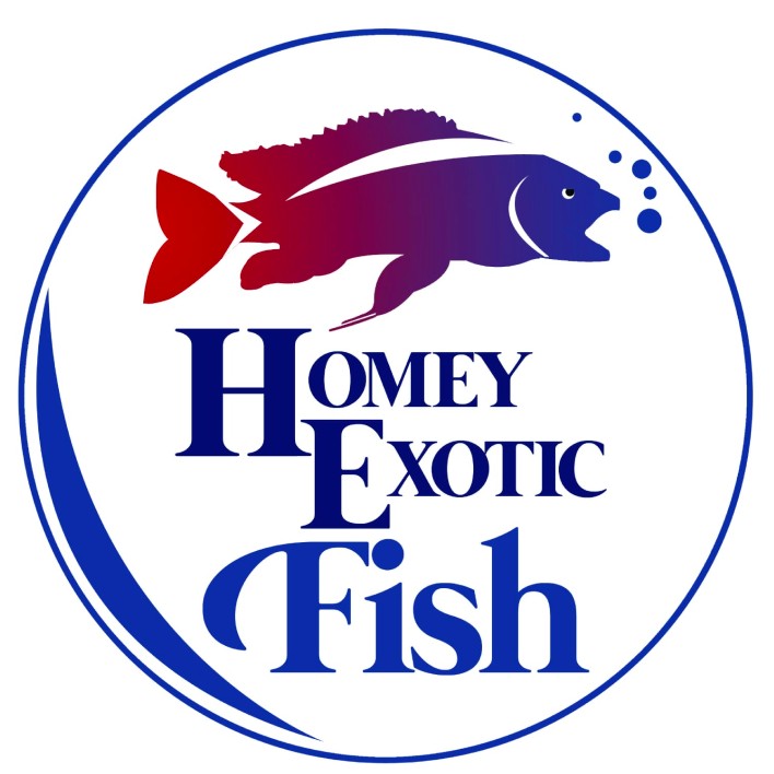 Homey Exotic Fish