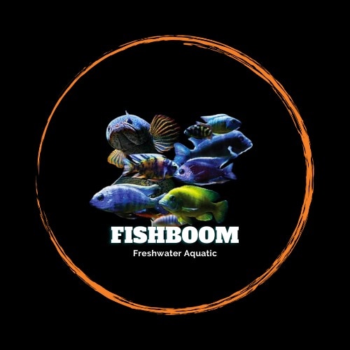 Fishboom