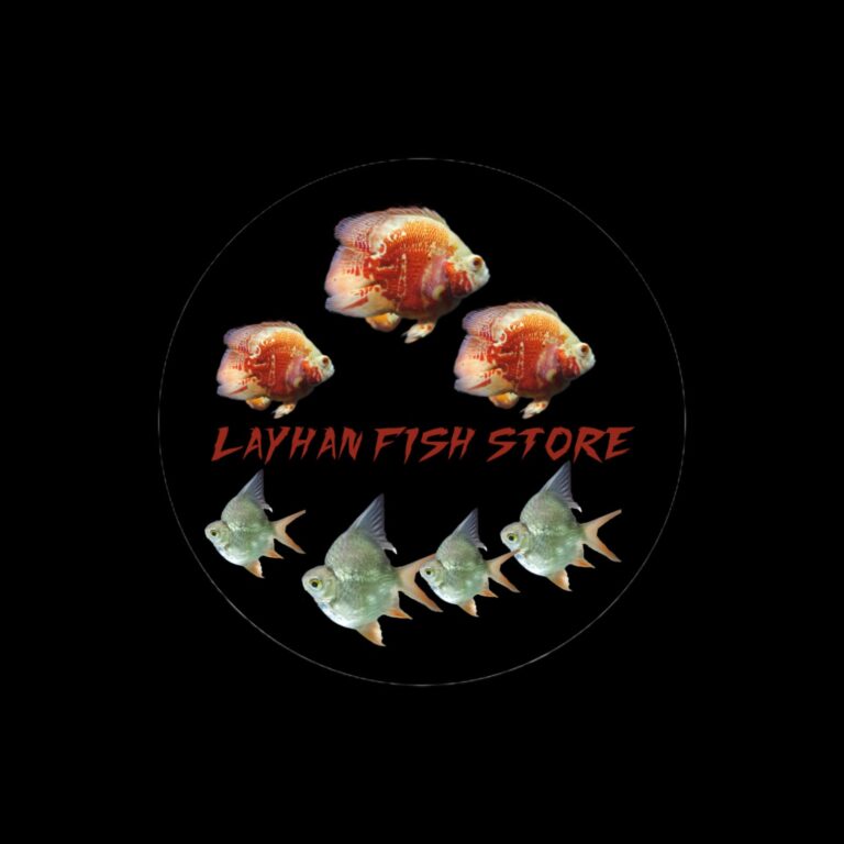 Layhan Fish Store