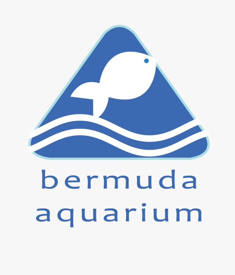 Bermuda Aquarium
