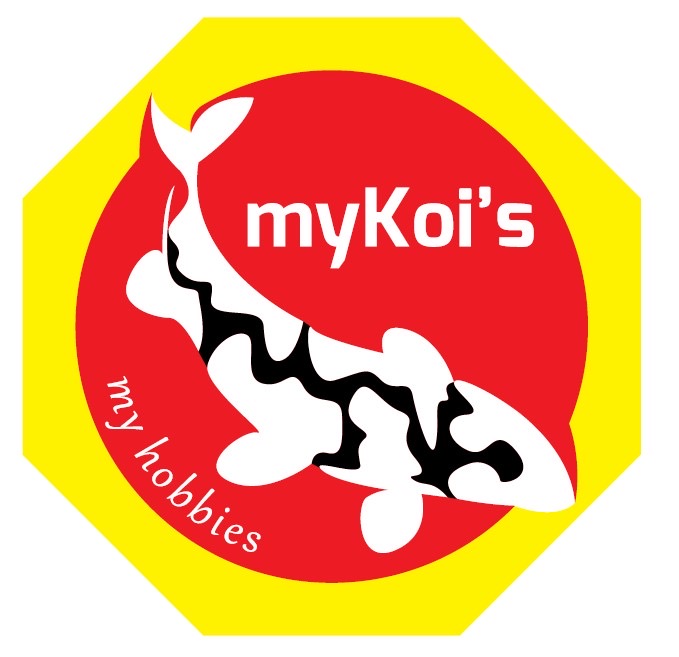 myKoi's