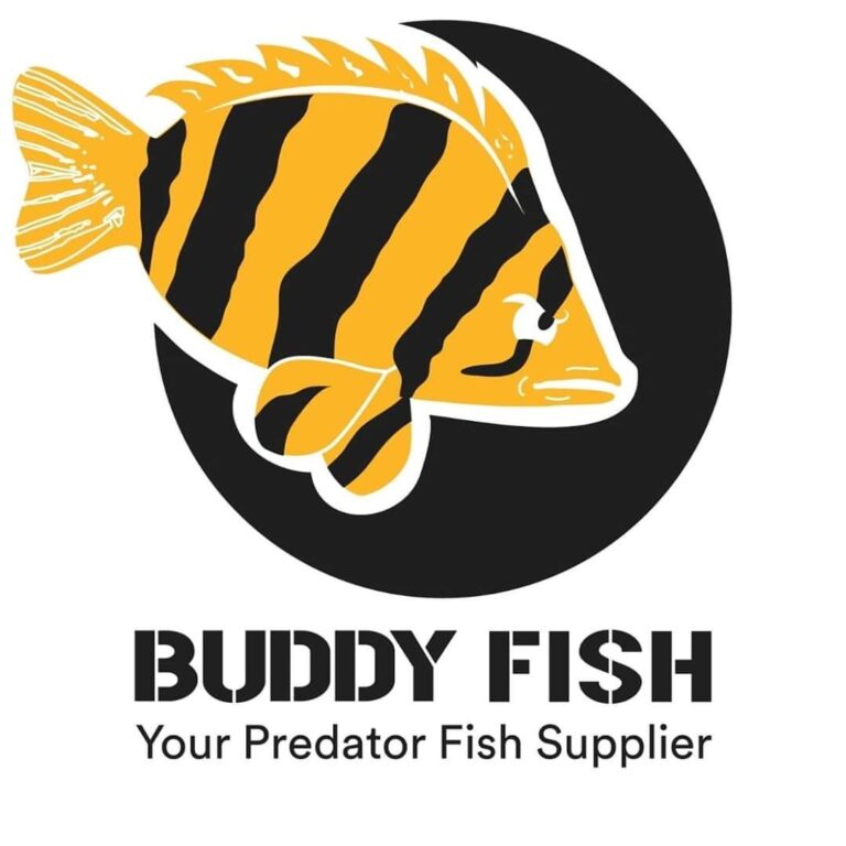 Buddy Fish